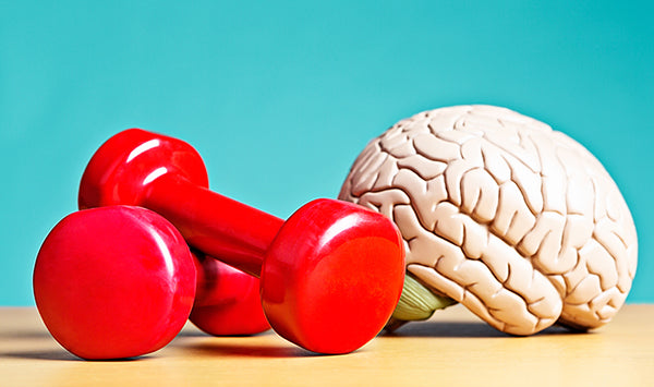 The Best Nootropics to Boost Brain Power